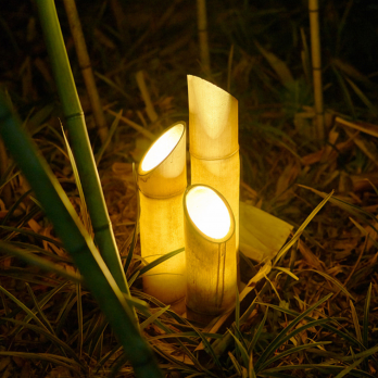 LED 竹